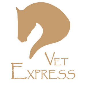 Vet-Express Clínica Equina